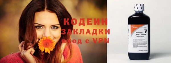 дживик Майский