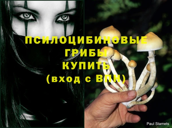 jwh Медвежьегорск