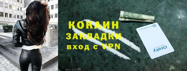 дживик Майский
