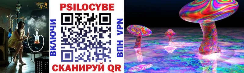 мориарти как зайти  Долгопрудный  Псилоцибиновые грибы прущие грибы  что такое наркотик 