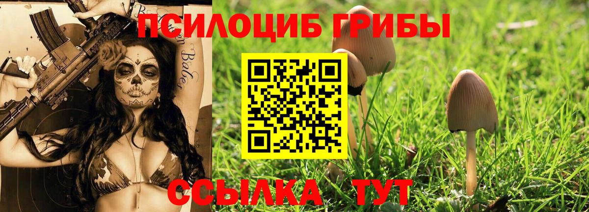 наркота  Псилоцибиновые грибы прущие грибы  Долгопрудный  Вход с VPN  Галлюциногенные грибы прущие грибы 
